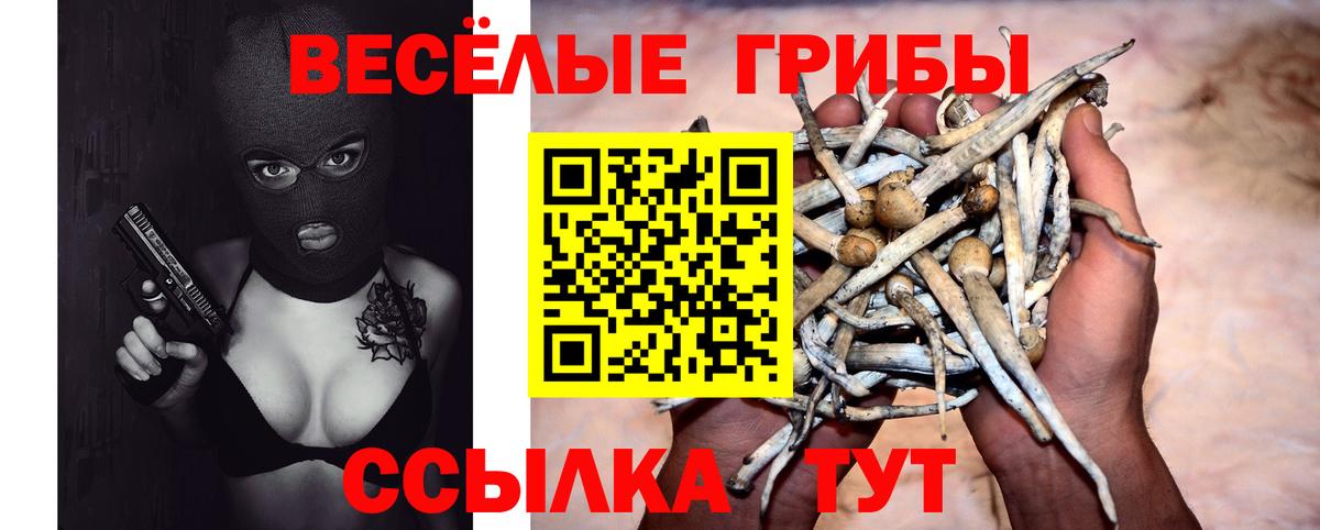 Галлюциногенные грибы Cubensis  Вход с VPN  Каменск-Шахтинский  продажа наркотиков  Галлюциногенные грибы ЛСД 